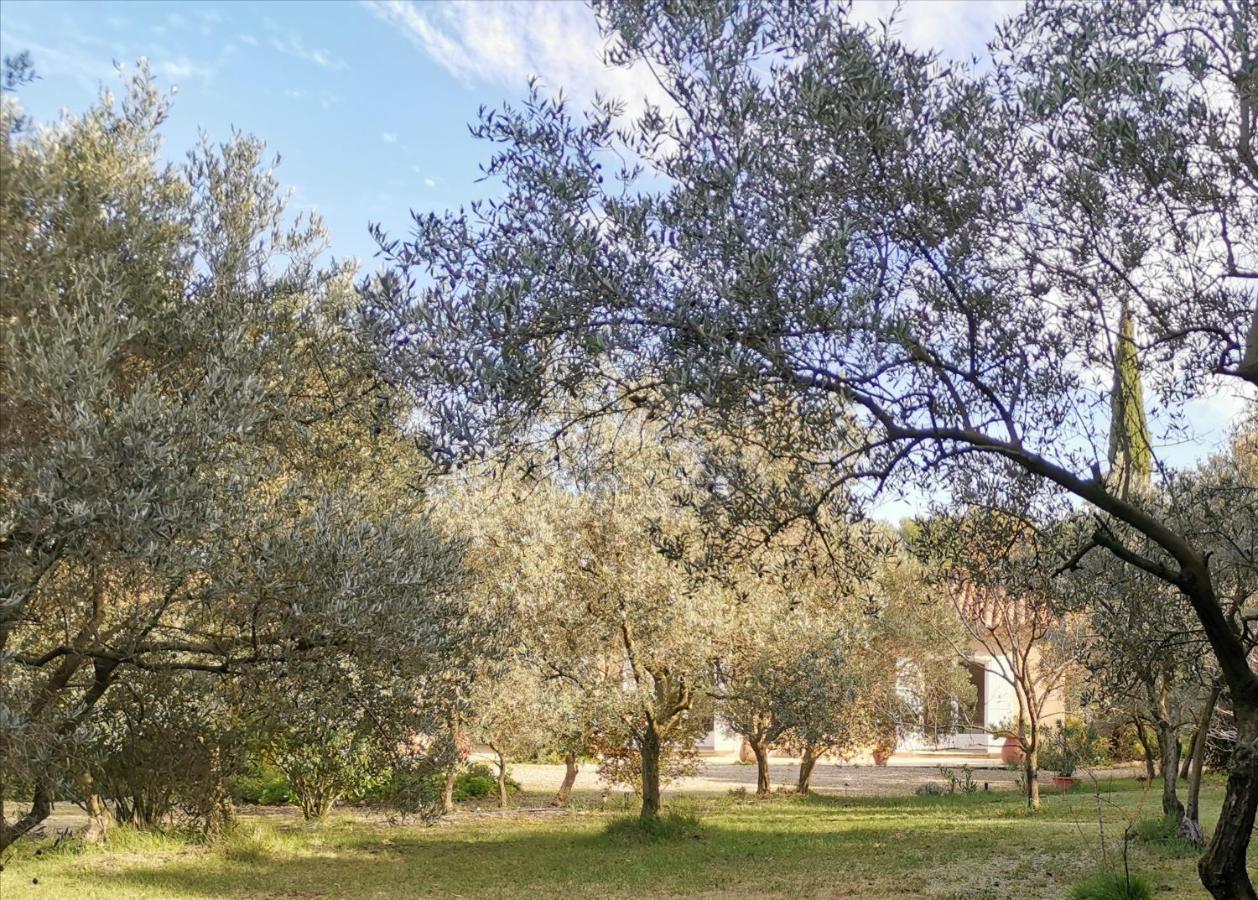 Mas Des Oursons - Chambres D'Hotes Arles Bagian luar foto